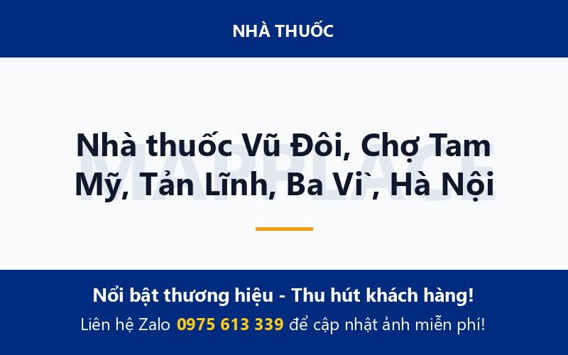 Nhà thuốc Vũ Đôi, Chợ Tam Mỹ, Tản Lĩnh, Ba Vì, Hà Nội