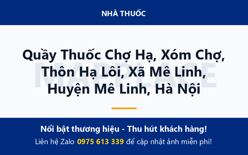 Quầy Thuốc Chợ Hạ, Xóm Chợ, Thôn Hạ Lôi, Xã Mê Linh, Huyện Mê Linh, Hà Nội