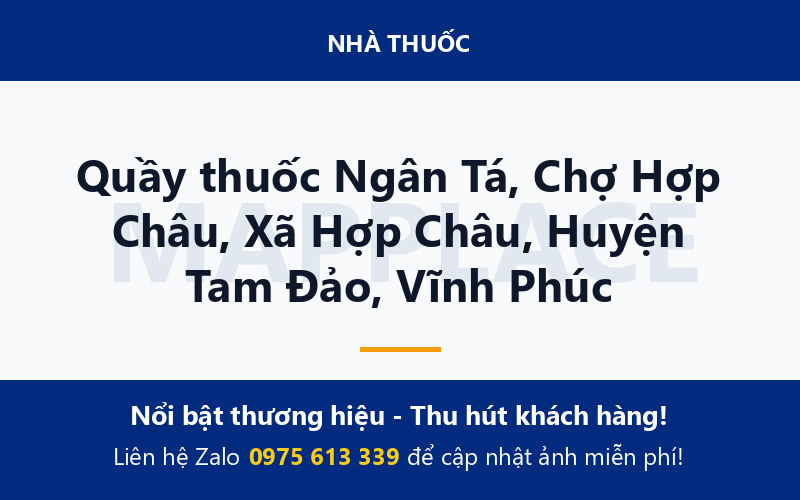 Quầy thuốc Ngân Tá, Chợ Hợp Châu, Xã Hợp Châu, Huyện Tam Đảo, Vĩnh Phúc
