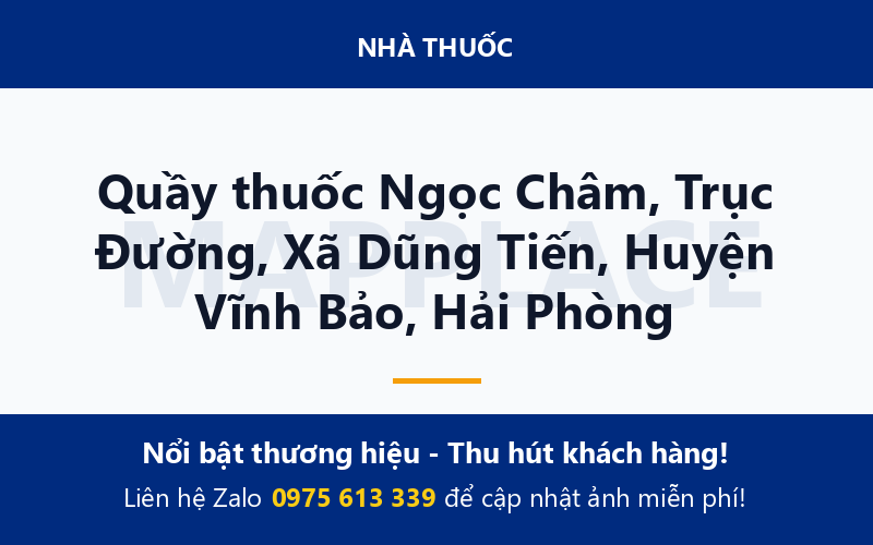 Quầy thuốc Ngọc Châm, Trục Đường, Xã Dũng Tiến, Huyện Vĩnh Bảo, Hải Phòng