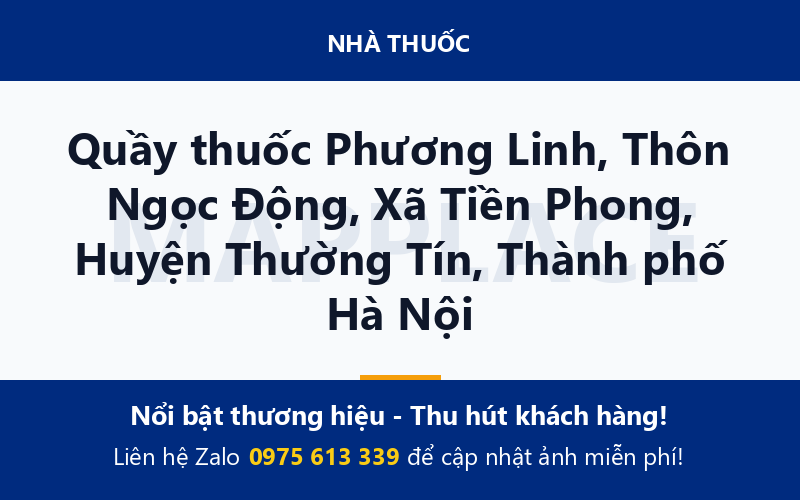 Quầy thuốc Phương Linh, Thôn Ngọc Động, Xã Tiền Phong, Huyện Thường Tín, Thành phố Hà Nội