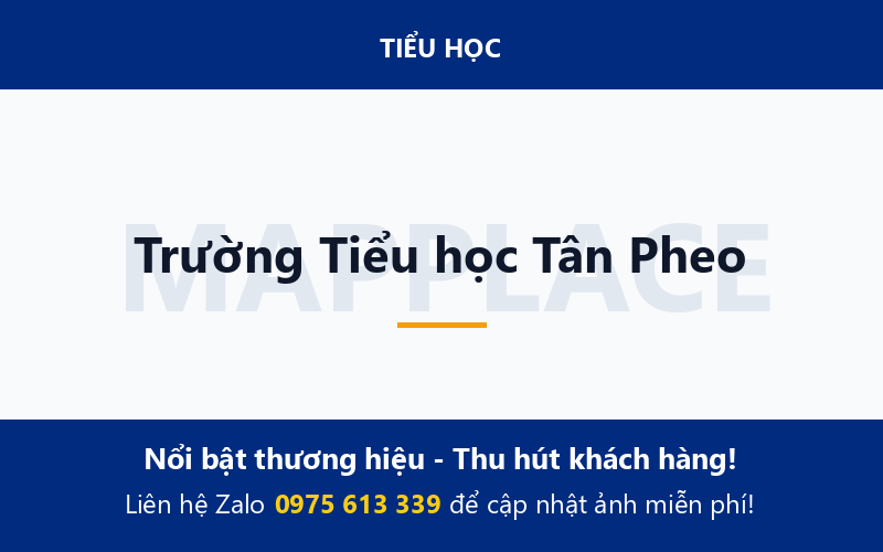 Trường Tiểu học Tân Pheo