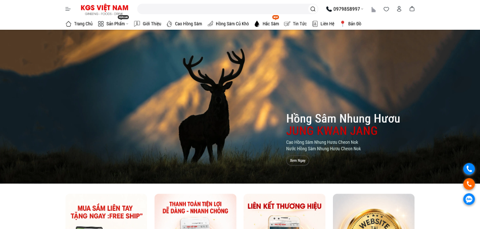 Thiết Kế Website Quản Trị Và Vận Hành KGSVIETNAM.COM Chuẩn SEO Chuyên Nghiệp