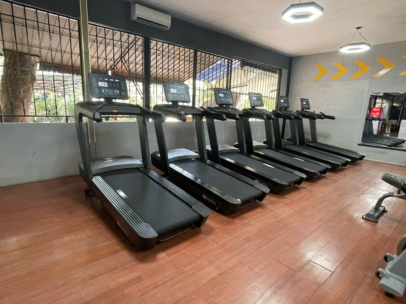 Thiết bị tập gym Concept Sport